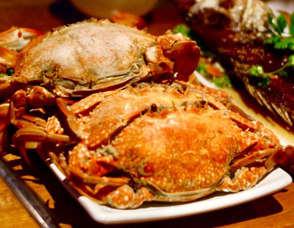 丛林沽岛度假村 Ban Khlong Chao 外观 照片